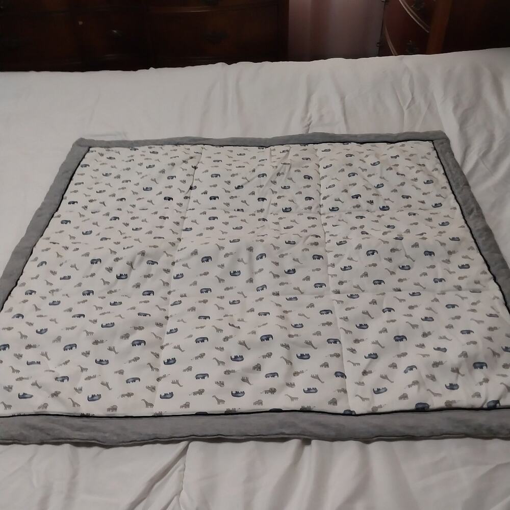 Aden & Anais Baby Blanket